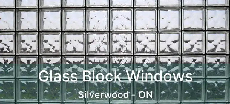  Glass Block Windows Silverwood - ON
