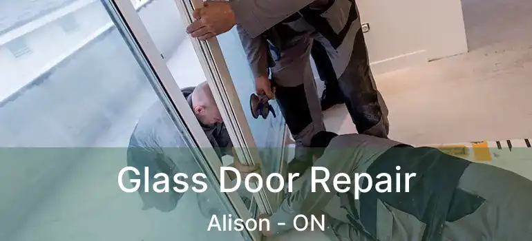  Glass Door Repair Alison - ON