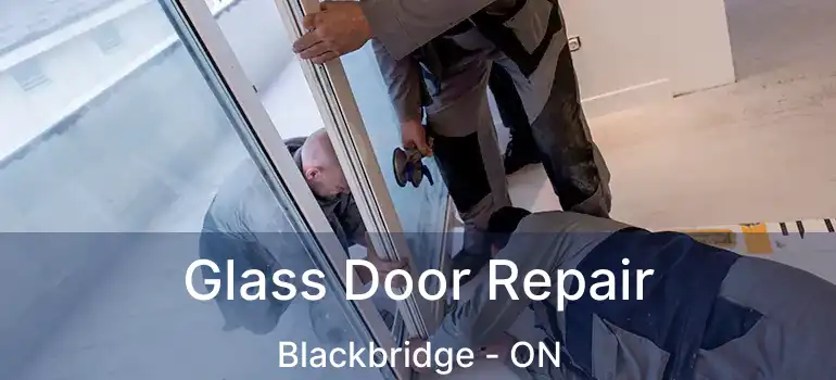  Glass Door Repair Blackbridge - ON