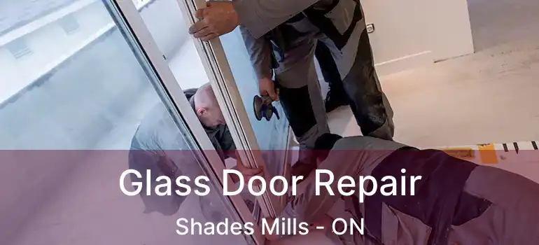  Glass Door Repair Shades Mills - ON