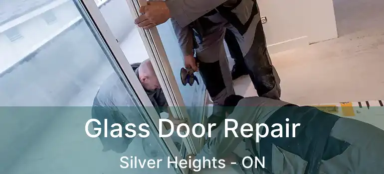  Glass Door Repair Silver Heights - ON