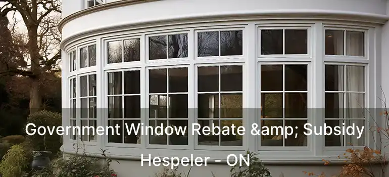  Government Window Rebate & Subsidy Hespeler - ON