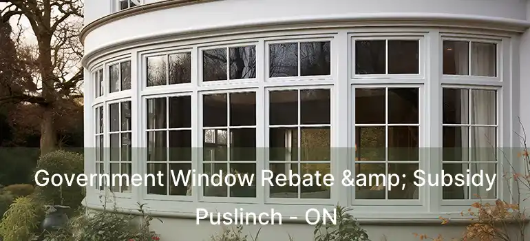  Government Window Rebate & Subsidy Puslinch - ON