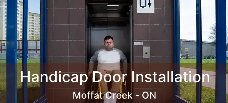  Handicap Door Installation Moffat Creek - ON