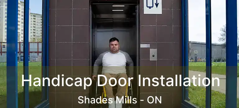  Handicap Door Installation Shades Mills - ON