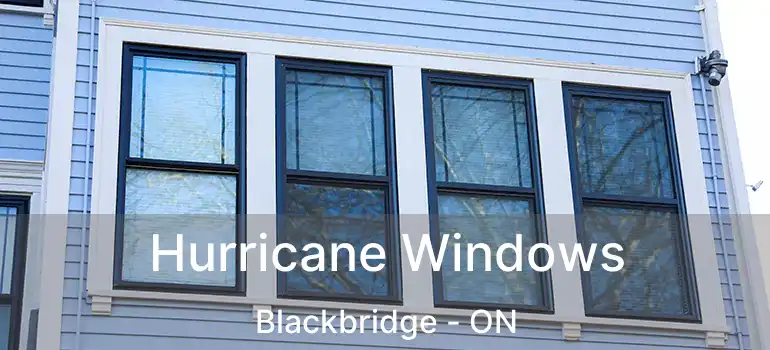  Hurricane Windows Blackbridge - ON