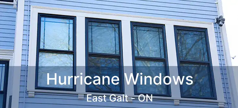  Hurricane Windows East Galt - ON