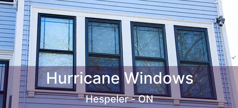  Hurricane Windows Hespeler - ON