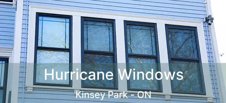  Hurricane Windows Kinsey Park - ON