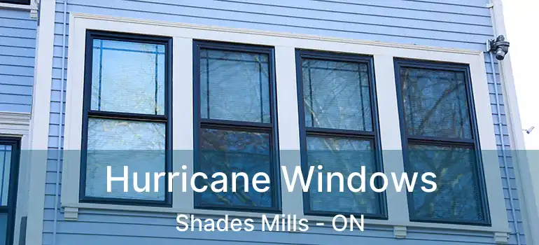  Hurricane Windows Shades Mills - ON
