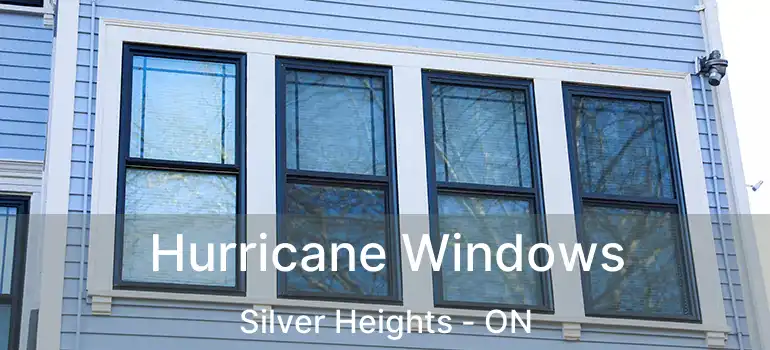  Hurricane Windows Silver Heights - ON
