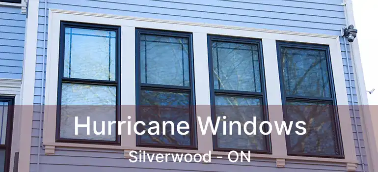 Hurricane Windows Silverwood - ON