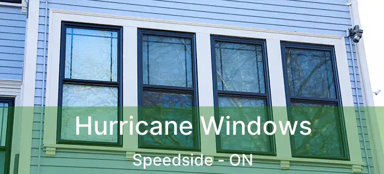  Hurricane Windows Speedside - ON