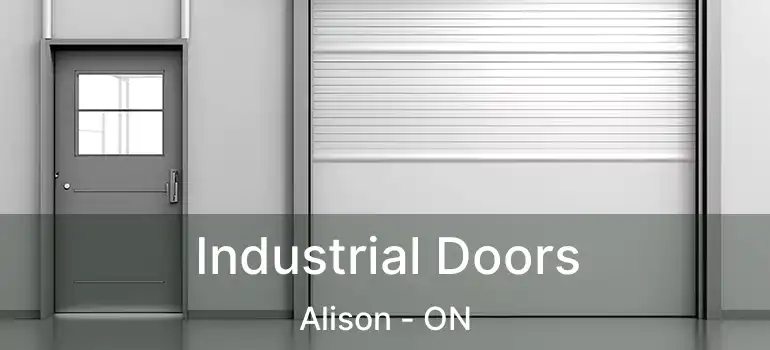  Industrial Doors Alison - ON