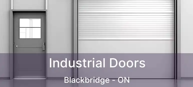  Industrial Doors Blackbridge - ON