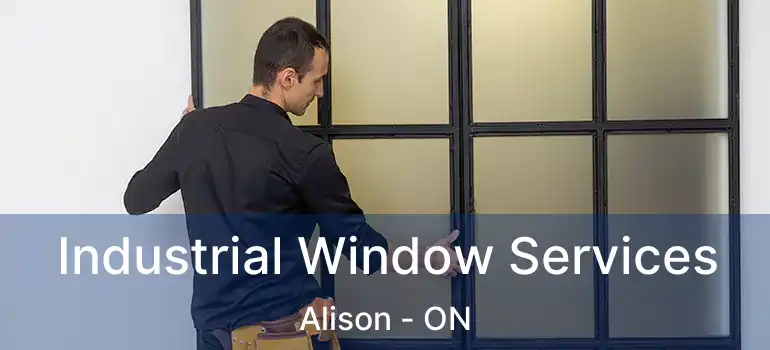  Industrial Window Services Alison - ON