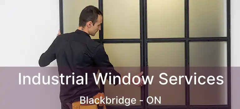  Industrial Window Services Blackbridge - ON