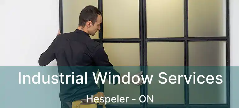  Industrial Window Services Hespeler - ON