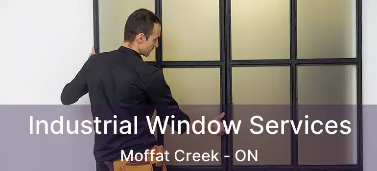  Industrial Window Services Moffat Creek - ON
