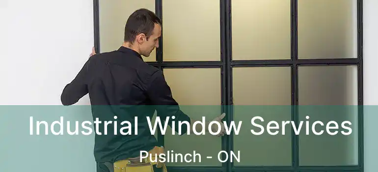  Industrial Window Services Puslinch - ON