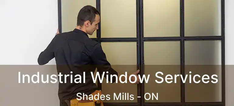  Industrial Window Services Shades Mills - ON