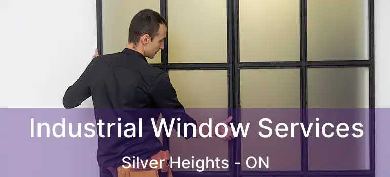  Industrial Window Services Silver Heights - ON