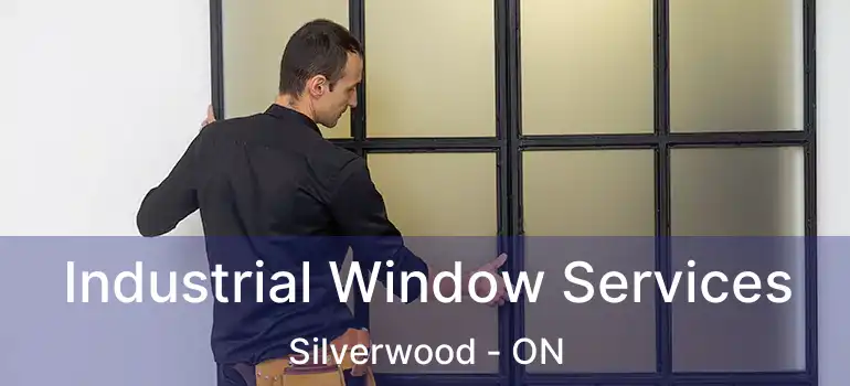 Industrial Window Services Silverwood - ON
