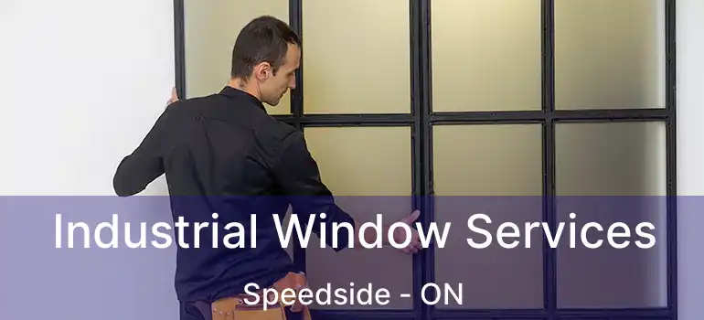  Industrial Window Services Speedside - ON