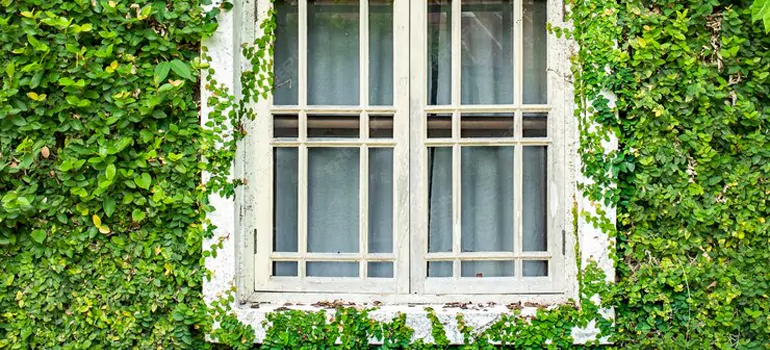 arden Window Repair Near Me in Cambridge, ON