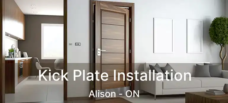  Kick Plate Installation Alison - ON