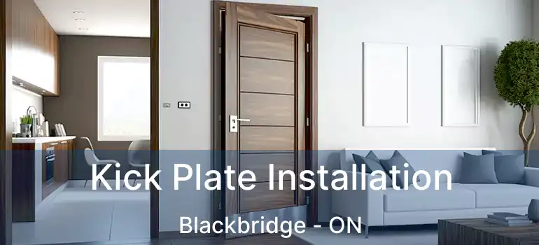  Kick Plate Installation Blackbridge - ON