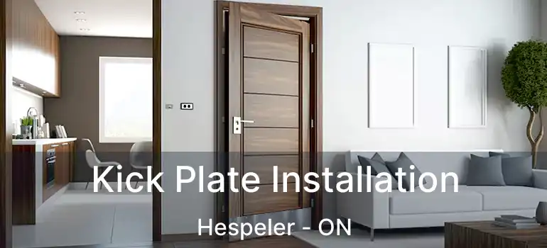  Kick Plate Installation Hespeler - ON