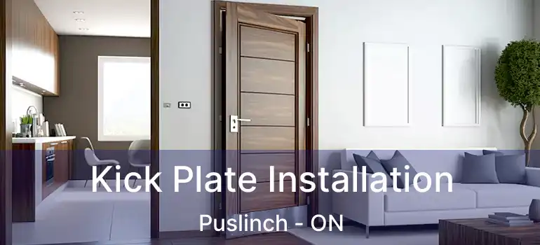  Kick Plate Installation Puslinch - ON
