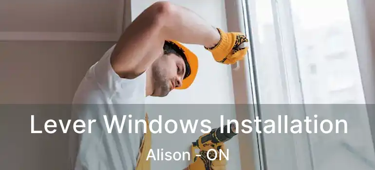  Lever Windows Installation Alison - ON