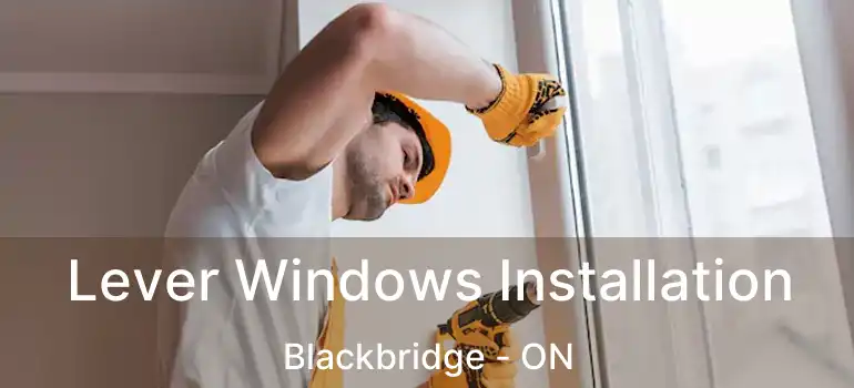  Lever Windows Installation Blackbridge - ON