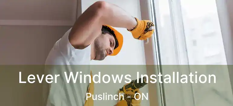  Lever Windows Installation Puslinch - ON