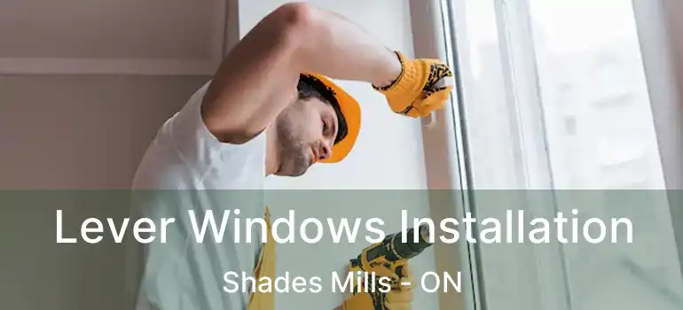  Lever Windows Installation Shades Mills - ON