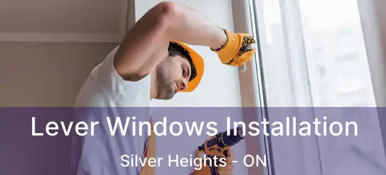  Lever Windows Installation Silver Heights - ON