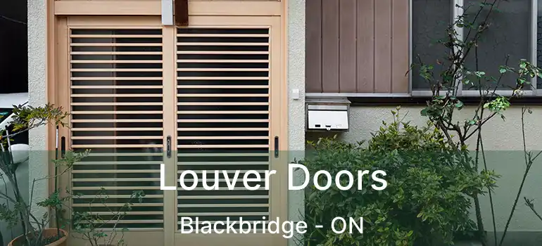  Louver Doors Blackbridge - ON