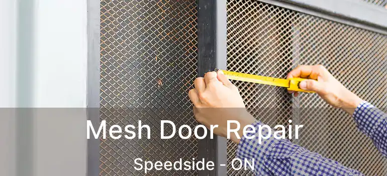  Mesh Door Repair Speedside - ON