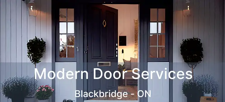  Modern Door Services Blackbridge - ON