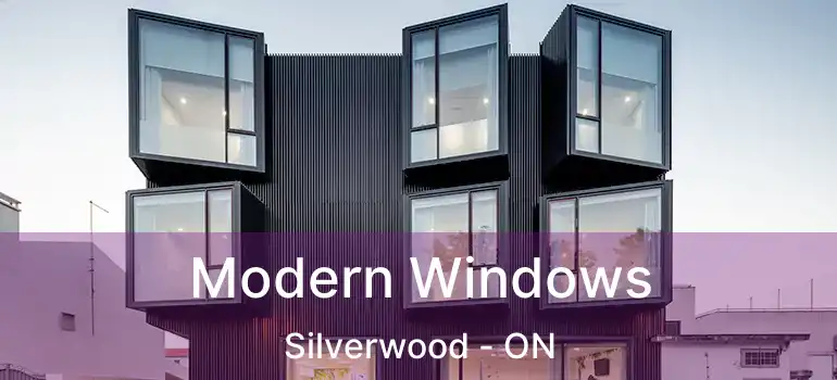  Modern Windows Silverwood - ON