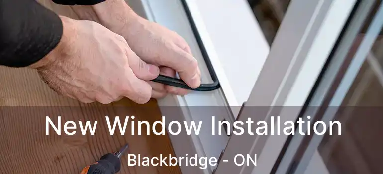  New Window Installation Blackbridge - ON