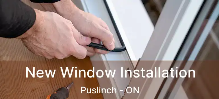  New Window Installation Puslinch - ON