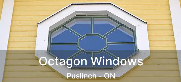  Octagon Windows Puslinch - ON