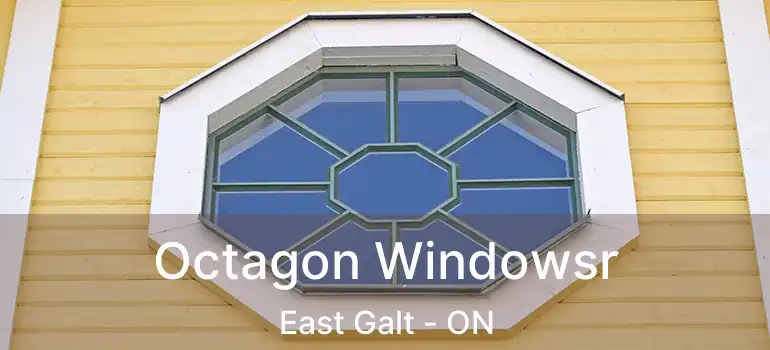  Octagon Windowsr East Galt - ON