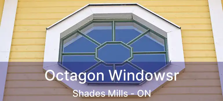  Octagon Windowsr Shades Mills - ON