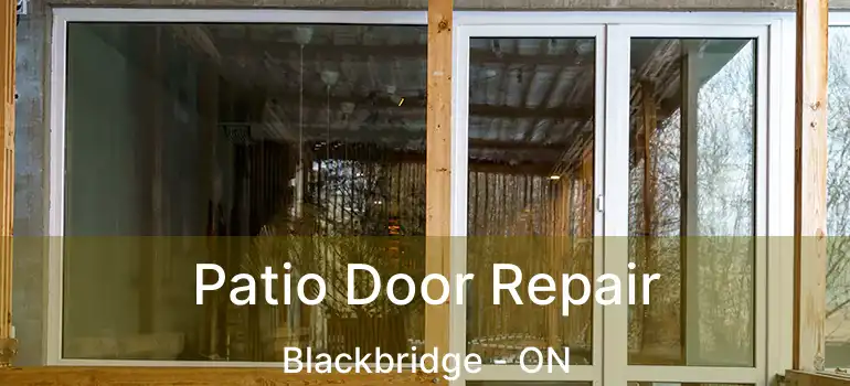  Patio Door Repair Blackbridge - ON