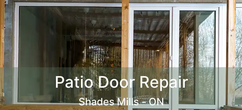  Patio Door Repair Shades Mills - ON