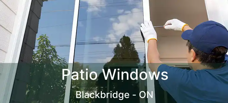  Patio Windows Blackbridge - ON